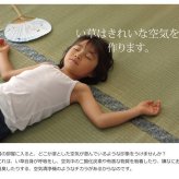 夏ラグ 夏用カーペット 純国産 い草 上敷き カーペット 糸引織 『柿田川』 江戸間6畳(約261×352cm）