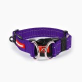 EZYDOG イージードッグ 首輪 ダブルロックカラー M パープル