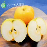 豊水　なし　約5kg　長野県須坂市産　フルーツ　ギフト