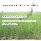 夏ラグ 夏用カーペット ラグ 正方形 夏用 ふっくら い草 シンプル 191×191cm 新生活