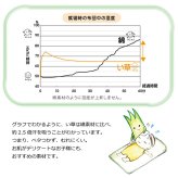 キッズ家具 子供用 日本製 い草 い草マット お昼寝 シンプル 星柄 約70×120cm