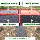 50平米分セット クラピア専用マルチシートセット 1m×50m（50m2）+Jピン（250本） クラピア 植栽用 吸水性 透水性 アップ