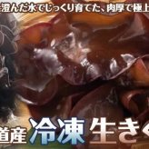 北海道産 冷凍生きくらげ 蝦夷ぷる美人 1kg(200g×5個入) 菌床栽培・無農薬 ぷりぷり肉質生キクラゲ 木耳 きのこ キノコ 送料無料 ※沖縄は送料別途加算