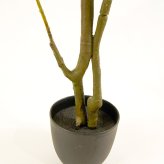 観葉植物 造花 アラレア BROWN 全高約155cm 大型 フェイクグリーン 本物そっくり おしゃれ インテリア 人工観葉植物 アーティフィシャルグリーン オフィス 店舗 ホテル 開店祝い 室内 ディジゴセカ フェイク