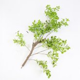 観葉植物 造花 斑入りベンジャミン BROWN 全高約210cm 大型 フェイクグリーン 高級 本物そっくり リアル おしゃれ 明るい インテリア 人工観葉植物 アーティフィシャルグリーン オフィス 店舗 ホテル 開店祝い 室内 リビング 玄関 風水 ベンジャミナ