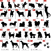 【名入れ無料】☆クリスタルロックグラス ☆グラス 名入れ ロックグラス 名入れグラス
