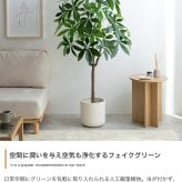 照明 ライト パキラ 観葉植物 人工 フェイクグリーン 室内 リビング オフィス 一人暮らし 緑 インテリア 光触媒 空気清浄 消臭 抗菌 防汚 ホルムアルデヒド分解 おしゃれ 高さ150cm 造花 植木 鉢植え 新築祝い 開店