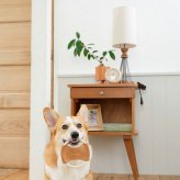DADWAYPET ダッドウェイペット FAD ファッド レザー＆コットン・トイ ロープディスク 犬用おもちゃ
