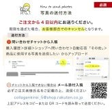  遺毛ケース 桐 写真入り ペット 毛 ひげ 髭 ヒゲ 犬 猫 鳥 ハムスター うさぎ 名入れ フルカラー メモリアルケース メッセージ 愛犬 愛猫