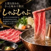 黒毛和牛 薄切り2種食べ比べ 400g 霜降りカルビ（ブリスケ）とA4 A5赤身 肉ギフト