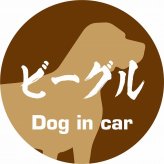 Dog in car ドッグインカー ステッカー カーステッカー ビーグル 毛筆書体 ブラウン シール 煽り運転対策 カーサイン
