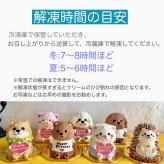 ハロウィンかぼちゃの男の子の立体ケーキ 誕生日 可愛い ケーキ 立体 動物 男の子  子供 人気 プレゼント ハロウィン　10月