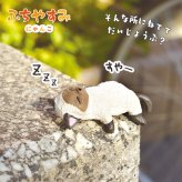 【5種類セット】 エール ガチャ ふちやすみ ～にゃんこ～ コンプリート 中身 ガチャガチャ