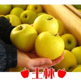 青森りんご 9kg 訳あり 送料無料 福袋 北海道産 青森産 リンゴ ※沖縄は送料別途加算 到着日指定不可