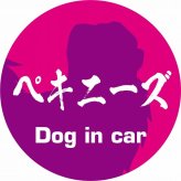 Dog in car ドッグインカー ステッカー カーステッカー ペキニーズ 毛筆書体 ピンクパープル シール 煽り運転対策 カーサイン