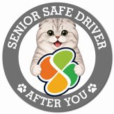 カーサイン 高齢者マーク SENIOR SAFE DRIVER スコティッシュフォールド マグネット 強力 直径13cm 肉球 日本製 車 ステッカー