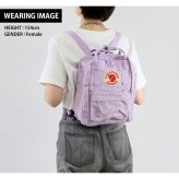 フェールラーベン リュック メンズ レディース ブランド FJALLRAVEN カンケン ミニ ビジネスバッグ バックパック スクールバッグ  2WAY F23561