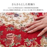 ラグ カーペット ゴブラン織 玄関マット ザイン 約60×90cm 滑り止め 室内 花柄 絨毯柄