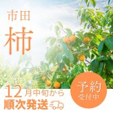 市田柿 ギフト 干し柿 木箱 700g 贈答用 お歳暮 御歳暮 2026 人気 冬ギフト 通販 食品 食べ物 干柿 ほしがき ほし柿 干しがき いちだ柿 柿 お正月 プレゼント 熨斗 果物 フルーツ ドライフルーツ 実用的 お祝い 国産 長野 人気 送料無料 ラッピング 熨斗対応 メッセージカード お年賀 御年賀