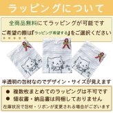 名入れ 吹奏楽 ユーフォニアムミニトートバッグ 【卒業 卒部 記念品】プレゼント ギフト ブラスバンド 引退 吹奏楽団 キャンバストート エコバッグ