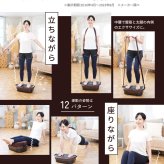 ライフフィット 2WAYトレーナースマート LIFEFIT 振動マシン ブルブルマシン 2WAY 立ち 座り 円座クッション パワーベルト付 1年保証付き