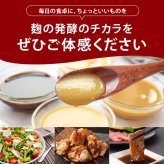 前田家 麹調味料 ＆ 焼肉のたれ 5種セット 塩麹 / 醤油麹 / たまねぎ麹 / にんにく麹 / 焼肉のたれ 計750g 各150g 麹 糀 こうじ 米麹 調味料 発酵食品 メール便 送料無料 MAEDAYA