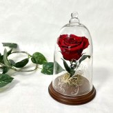 【天然ダイヤモンドの輝き】プリザーブドフラワー バラ 薔薇 ガラスドーム 2色 赤 青 ダイヤモンドローズ 花 ギフト プロポーズ 結婚式 記念日 誕生日 プレゼント 女性 妻 彼女 美女と野獣 サムシングブルー アモローサ 還暦祝い 退職祝い お祝い インテリア オブジェ Lulu＊s ルルズ