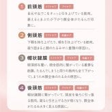 美顔器 EMS&RF リフトブラシボーテ EMS RF 頭皮ケア フェイスケア 全身ケア 防水 お風呂 バスタイム 赤色LED 光美容 顔 頭 デコルテ 二の腕 足 美容家電 女性 母 妻 誕生日 母の日 プレゼント 美容好き 実用的 ギフト