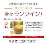 楽天ランキング受賞！ 予約販売 いちかわの梨 梨 幸水 こうすい 5kg 9～16玉 千葉県産 市川 なし 旬 果物 果実 フルーツ グルメ ギフト プレゼント 贈答品 贈答用 お盆 暑中見舞い 和梨 初節句