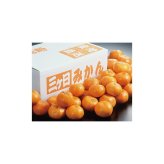 送料無料 お歳暮 静岡県産 三ケ日みかん  ※11/2以降の出荷予定となります。北海道・沖縄・離島は配達不可 全国送料無料 御歳暮 早割 お歳暮2026 御挨拶 お取り寄せ グルメ スイーツ