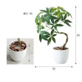 【高さ55cm】光触媒人工観葉植物 パキラ 幅35cm×奥行35cm×高さ55cm コンパクト 天然木 お部屋に気軽に飾れて空間を美しく彩るフェイクグリーン 本物の植物のようなリアルな質感とインテリアに馴染む風合いが魅力です