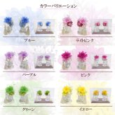  ペット お供え お悔やみ 花 プリザーブドフラワー アレンジメント 一対 小さなお供えプリザ 選べるカラー 6色 贈り物 犬 猫 お供えギフト お花 仏花 仏壇花 ミニアレンジ 送料無料