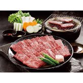 宮崎「大淀河畔 みやちく」宮崎牛 焼肉 (ARE-050) [お中元][お歳暮] ※送料無料(北海道・沖縄・離島への配送不可)