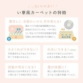 夏ラグ 夏用カーペット 水拭きできる い草風カーペット（裏貼り） くすみカラー パステル かわいい ござカーペット ラグ 上敷き 寝ござ 敷き物 カバー 畳保護 防音 長方形 正方形 四角 オールシーズン 快適 レジャー アウトドア イ草 洋室 和室 新生活
