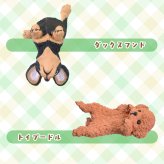 【5種類セット】 エール ガチャ ふちやすみ ～いろいろわんこ～ コンプリート 中身 ガチャガチャ