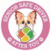 カーサイン 高齢者マーク SENIOR SAFE DRIVER パピチワ ステッカー シール 直径13cm 肉球 日本製 車