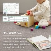 ラグ カーペット 【20枚組】タイル 置くだけ 滑り止め グリップタイル セットあり ペット 子供 キズ防止 滑りにくい 自分でカットできる 洗える フリーカット 敷き詰め 厚手 オールシーズン 春夏秋冬用 約40×40cm