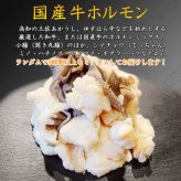 土佐あかうし・ゆすはら牛入り 国産牛 ミックスホルモン 焼肉 BBQ 炒め物 牛もつ 小腸 シマチョウ ミノ ハチノス センマイ ギアラ ハツ 味付けなし 小分け 高知産 キャンプ アウトドア 必要な量だけ使える小分け袋入り 【ヤマトクール便・送料無料】