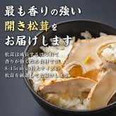 松茸 生松茸 冷凍 開き 500g 1000g 1500g  8-15cmサイズ ホール 洗浄済み そのまま使える 松茸ご飯やお吸い物にも 茶碗蒸しや土瓶蒸しにも最適 高級料亭 マツタケ まつたけ 秋の味覚 無農薬 無添加 中国産