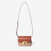 コーチ COACH IDOL BAG アイドル バッグ シグネチャー キャンバス スネークスキン ディテール CM551 ショルダーバッグ ハンドバッグ レディース バッグ