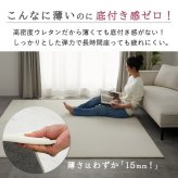 ラグ カーペット 高反発 極厚 厚手 撥水 防音 滑り止め 絨毯 じゅうたん オールシーズン 北欧 おしゃれ 洗える風 リビング フロアマット 床暖房 ホット 対応 130×190 190×190 190×240 一人暮らし 子供部屋 防ダニ クッション