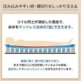 マットレス ボンネルコイルスプリングマットレス ダブル用 ロール梱包 マットレス 上質 お得 すのこ 北欧 パイプ 収納 折りたたみ 新生活 新築 新居 高級 モダン オシャレ 雑貨 オフィス ロール梱包でお届け♪ -Michelia-ミケリア 寝具用品
