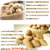 きたあかり 9.5-10kg 訳あり 北海道 じゃがいも S-Mサイズ 送料無料  ※沖縄は送料別途加算 キタアカリ