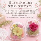 敬老の日 プレゼント プリザーブドフラワー ミニ ドーム バラ ジニア 小 おしゃれ かわいい ピンク イエロー 枯れない花贈答  プレゼント お祝い 誕生日 結婚記念日 母の日 父の日 敬老の日 プチギフト 卒業 退職 送別 入園 コンパクト インテリア お花とハンカチセット