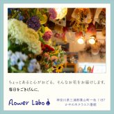 【Congrats】【バルーンブーケ】【メッセージバルーン入り】【選べる2色】かわいいハートバルーン入り 3980円以上送料無料 同梱OK  |  ミニブーケ バルーンミニブーケ バルーン入りミニブーケ 花束 バルーン花束 バルーン入り花束 バルーン入りブーケ お祝い 誕生日 合格祝い 卒業祝い 入学祝い 送別 プチギフト