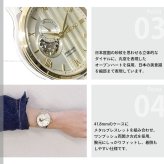 セイコー プレザージュ SEIKO PRESAGE 自動巻き メカニカル 腕時計 メンズ SARY238 Japanese Garden オープンハート