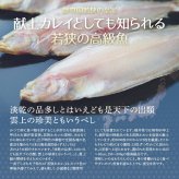 若狭カレイ 一塩干し ミニサイズ 3尾 3セット 6セット カレイ 一夜干し 保存料不使用 干物 天神講 天神様