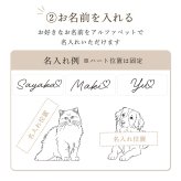 PAUL&JOE ポール&ジョー ビューティーミラー（イラスト対応：DOG・CAT） 名入れ彫刻代込み 名前 彫刻 刻印 お祝い プレゼント ギフト 記念日 高級 ブランド 誕生日 コスメ メイク 化粧直し メイク小物 コンパクトミラー ミラー 犬 猫