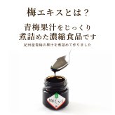 梅エキス 練りタイプ 55g 紀州産青梅 梅肉エキス