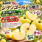 青森県産　りんご　シナノゴールド　訳あり　5kg　送料無料！